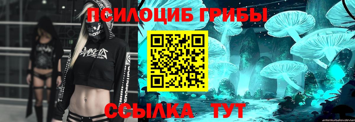 Ахтубинск  Псилоцибиновые грибы Psilocybe  купить наркотики сайты  Вход с VPN  Псилоцибиновые грибы GOLDEN TEACHER 