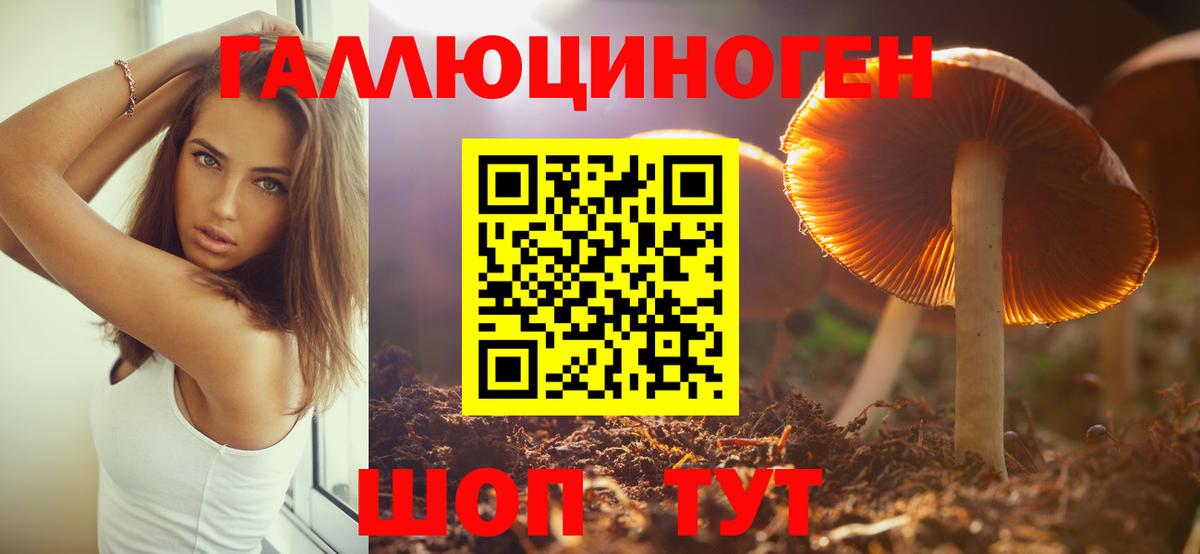 Галлюциногенные грибы ЛСД Ахтубинск